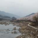 쌍계사