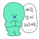 데이, 멍 이미지