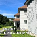 대아울릉리조트펜션 | 울릉도 숙소 추천, 사동항 10분컷! 가성비 울릉대아리조트 솔직 후기