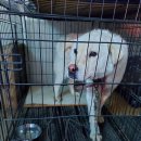 운봉동물병원 이미지