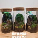 나무와사람그리고흙 | 양산 나무하다 테라리움 원데이클래스 솔직 후기