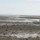 옹진모텔 이미지