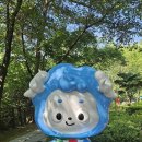 칠갑산 | ⛰칠갑산 등산코스 후기 천장호출렁다리코스⛰
