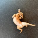 비바도기 이미지