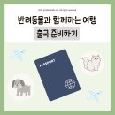 포레동물병원 이미지