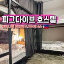 원피그 | 세부 모알보알 숙소 추천 9천원 피그 다이브 호스텔 6인실 후기