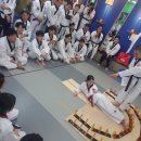 호 태권도 이미지