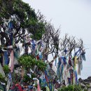 종달리 생개납 돈짓당 이미지