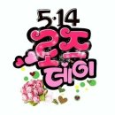 로즈데이 Daum카페