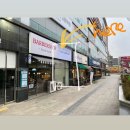 네일엘더트리