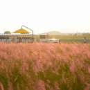 행복한 꽃 이미지