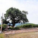 당산1리 이미지