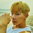 라인 엔터테인먼트 이미지