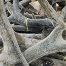 사라나라한의원 이미지