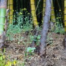 소슬농장 이미지