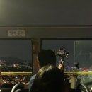 시티타이거