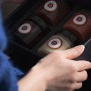 오델리스 이미지