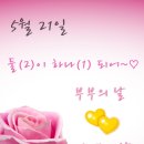 부부정