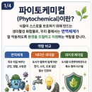전립상회 Daum카페