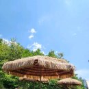 개동유치원 이미지