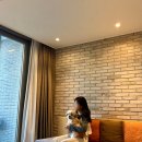 더위크앤리조트(더우프앤) | 국내 애견동반 호텔 더위크앤리조트 펫룸 가족여행 후기 (20만원대 특가)