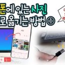 욜디