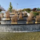 유성구청 버스정류장 이미지