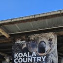 소떼농장 | DAY2. 포트스테판 현지투어