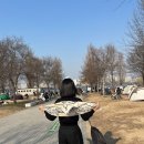 예스코디 | 봄옷 코디 추천 l 수아엘 실크 스카프 후기