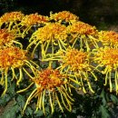 건제약국 이미지