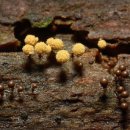 맛있는세상 이미지