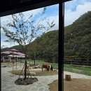 디오디인테리어 - 부천시 오정구 삼작로537번길 11 | 디오디인테리어