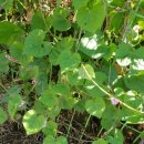 훈이네펜션 이미지