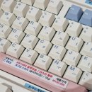 공항타일 | 키덕투어(in 김포공항 롯데몰) 후기