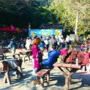 금산교역 | Kam Shan Country Park/金山郊野公園 /금산교야공원/홍콩걸을만한곳소개/홍콩근교여행