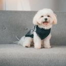 귀가편안한세상 이미지