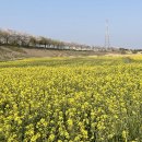 영산강둔치체육공원 이미지