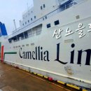 부산항국제크루즈터미널 이미지