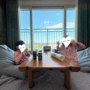 제미바릇 이미지