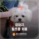 블리스 동물의료센터 이미지