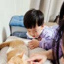 성운화원 이미지