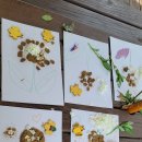 초록샘어린이집 이미지