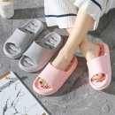 439 이미지