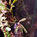 공간플렌츠 이미지