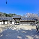 초당동-4 이미지