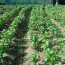 호연농장 이미지