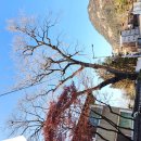 무궁화빌라 B동 이미지