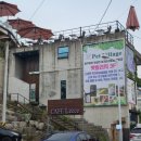 펫빌리지 이미지