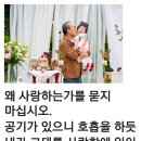 하누사랑