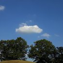 세월 베고 길게 누운 구름 한조각 -하모니카연주 이미지
